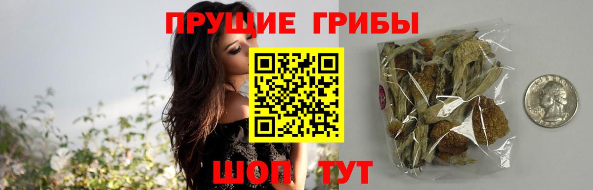 Псилоцибиновые грибы GOLDEN TEACHER  Вход с VPN  Новоуральск 